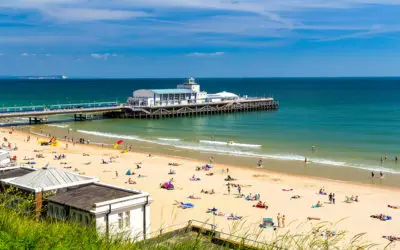 7 Things to Do around Charminster